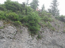 Picture 022