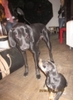 thumbs_img_0567