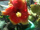 P09-07-12_11.53