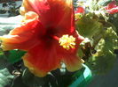 P09-07-12_11.53[1]