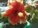 P09-07-12_11.53[2]