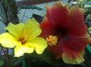 P09-07-12_13.54[1]