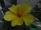 P09-07-12_13.54[2]