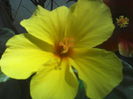P09-07-12_13.54[3]