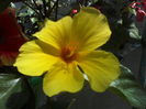 P09-07-12_13.54[4]