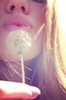 thumb_033~0