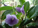 P1150613