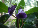 P1150614