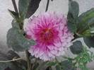 P100712_17.56_[01]