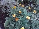 P100712_17.56_[03]
