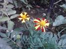 P100712_17.57_[01]