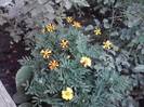 P100712_17.57_[02]