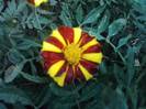 P100712_17.57_[03]