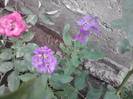 P100712_17.59_[02]