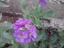 P100712_17.59_[03]