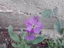 P100712_17.59_[04]