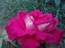 P100712_18.00_[02]