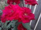 P100712_18.12_[01]