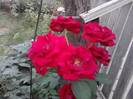 P100712_18.12_[02]