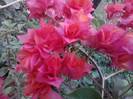 P100712_18.21_[01]
