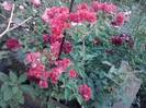 P100712_18.22_[01]