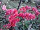P100712_18.22_[02]