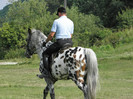 poza 928