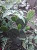 P100712_18.03_[01]