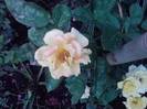 P100712_18.03_[02]