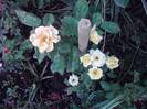P100712_18.03_[03]