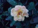 P100712_18.03_[04]