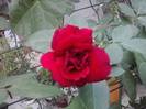 P100712_18.04_[01]