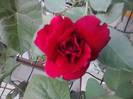 P100712_18.04_[02]