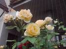 P100712_18.04_[04]