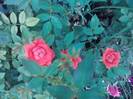 P100712_18.07_[01]