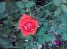 P100712_18.07_[03]
