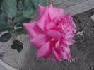 P100712_18.09_[02]