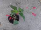 P100712_17.44_[03]