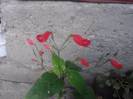 P100712_17.45