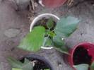 P100712_17.46_[01]