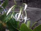 P100712_17.50_[01]