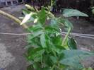 P100712_17.50_[02]