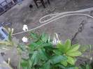 P100712_17.50_[03]
