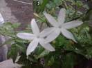 P100712_17.50_[05]