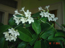 poze 1264