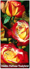Trandafiri - Double Parfume - Teahybrid