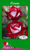trandafiri-osiria~l_380164