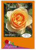 trandafiri-grahom-thomas~l_380059