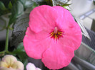 P7100481