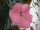 P7100496